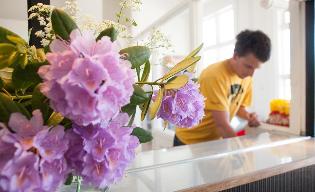 Ronneby Brunnspark Vandrarhem Och B&B Ngoại thất bức ảnh